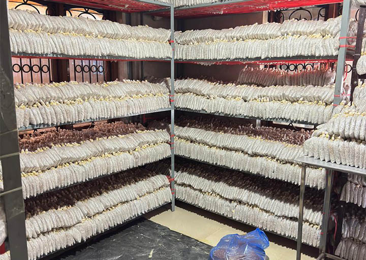 Annual General Meeting (AGM) & Capacity Building