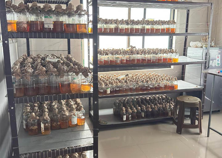 Research, Innovation, and Technical Support